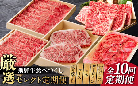 【10回定期便】飛騨牛 厳選セレクト定期便 / 飛騨牛 牛 牛肉 肉 岐阜市/だるまミート [ANBE002]