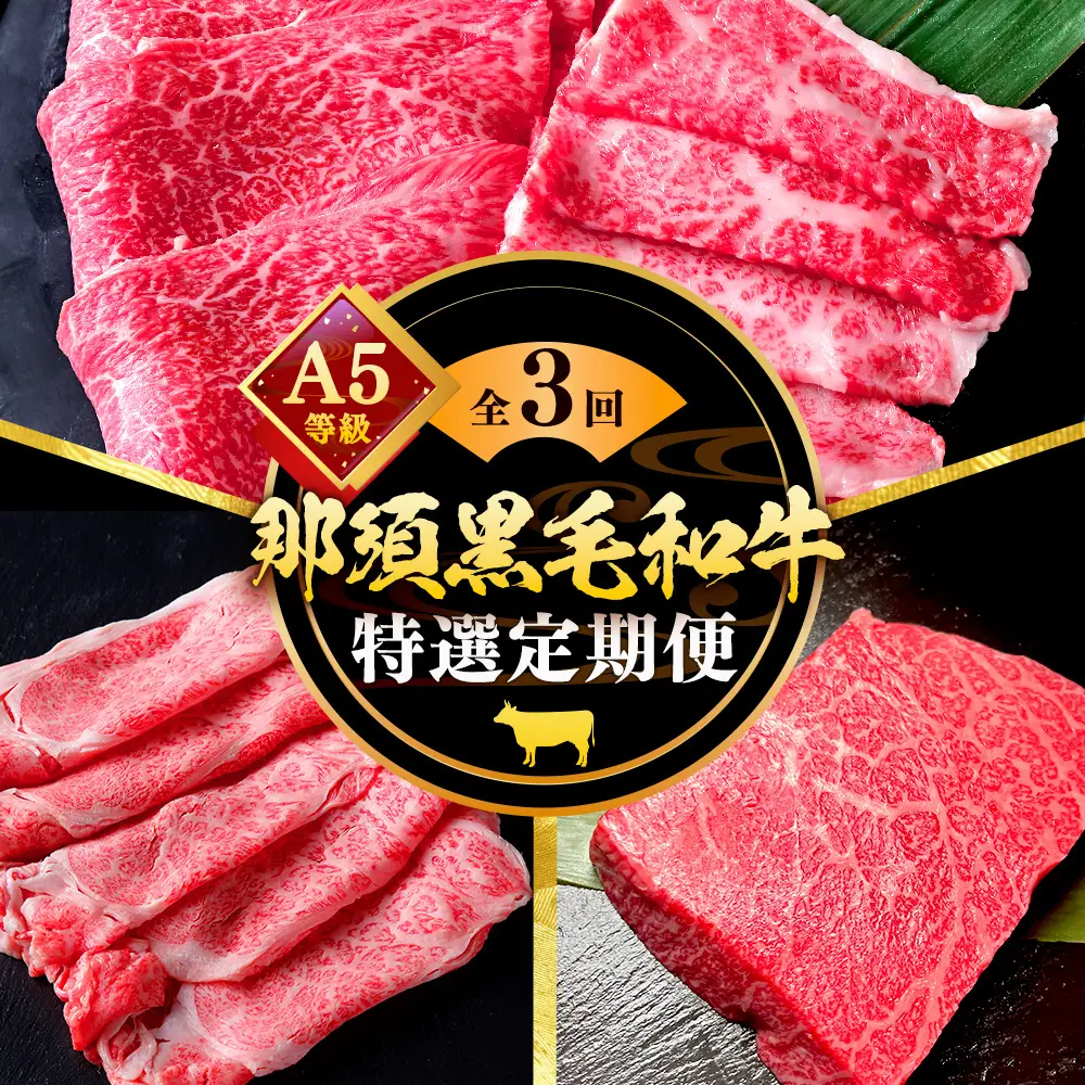 《定期便3回》A5等級 那須黒毛和牛 特選定期便 ステーキ 焼肉セット〔G-28〕| 牛肉 国産 赤身 那須和牛 黒毛和牛 那須黒毛和牛 とちぎ和牛 栃木和牛 ブランド牛 A5 すき焼き しゃぶしゃぶ 焼肉 ステーキ 夜ご飯 夜ごはん 晩ご飯 晩ごはん お取り寄せグルメ お中元 御中元 お歳暮 贈答 贈り物 ギフト プレゼント 母の日 父の日 敬老の日 記念日 誕生日 お祝い 定期便 栃木県 那須町