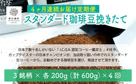 [013-d002] 定期便 コーヒー 豆挽き 600g × 4回