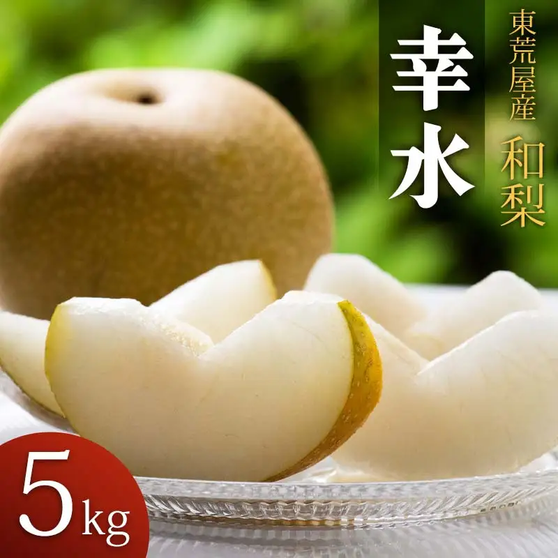 【令和8年産先行予約】 東荒屋産　幸水　(和梨) 　5kg　山形県鶴岡市　鶴岡中央青果　| 梨 ナシ 果物 くだもの フルーツ 旬 期間限定 5キロ 甘い みずみずしい おすすめ 人気 お取り寄せ 返礼品
