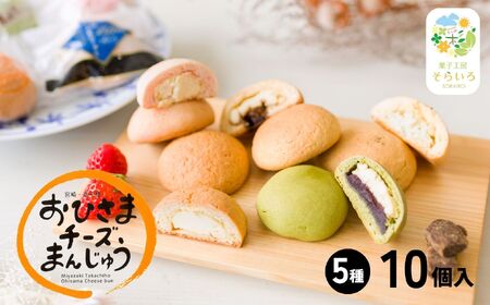 そらいろチーズまんじゅう5種10個入チーズ饅頭 まんじゅう お菓子 菓子 詰め合わせ 和菓子 洋菓子 デザート スイーツ 黒糖 いちご あんこ 手土産 おすそ分け 贈答 贈答用 贈り物 ギフト プレゼント 個装 個包装 個別包装 銘菓 おもてなし 宮崎県 高千穂町_Tk022-013