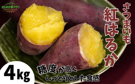 【先行予約】紅はるか《さつまいも 4kg》【令和8年11月以降発送予定】農薬不使用 サツマイモ 41-14