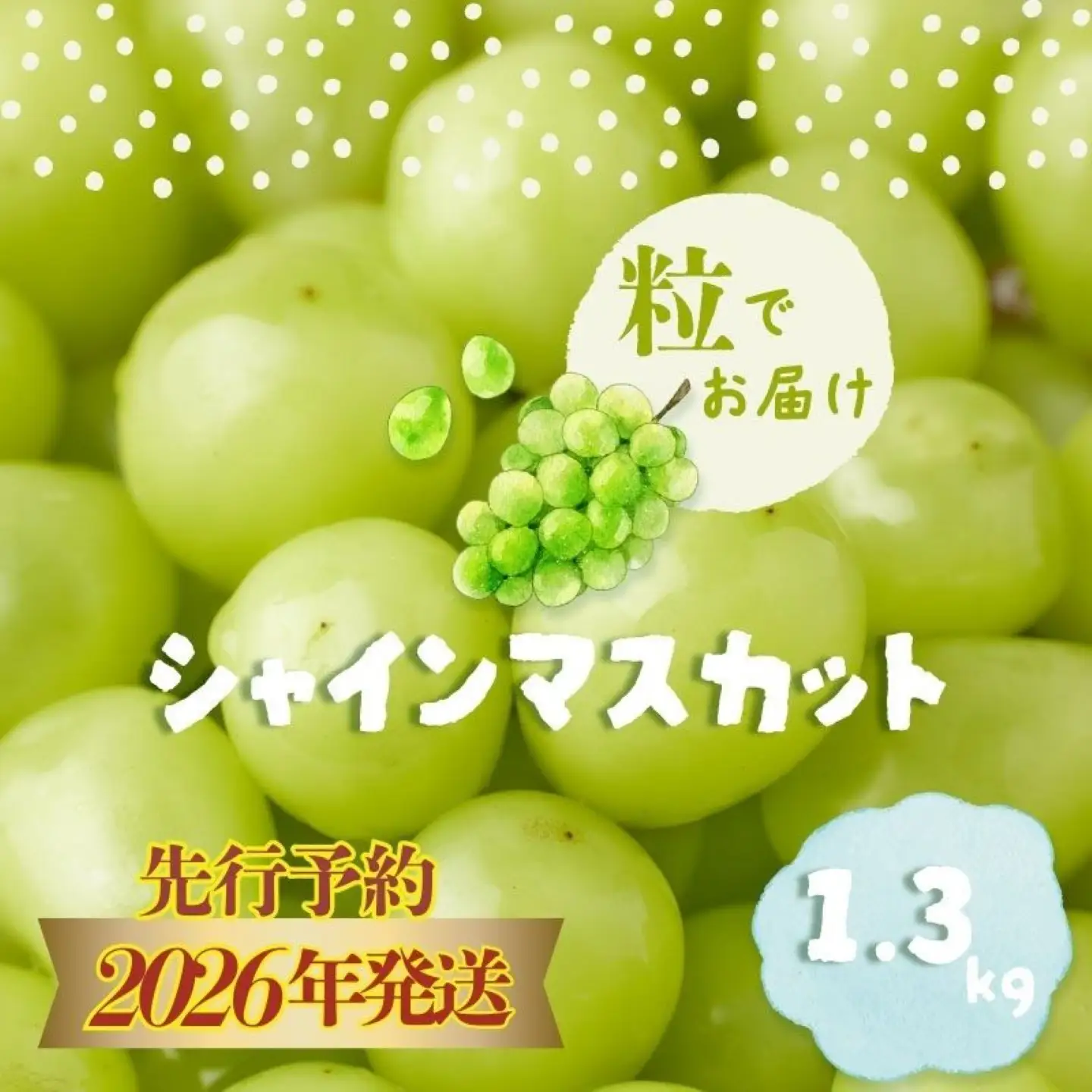 【2026年先行予約】シャインマスカット約1.3kg　（粒）｜シャインマスカット フルーツ