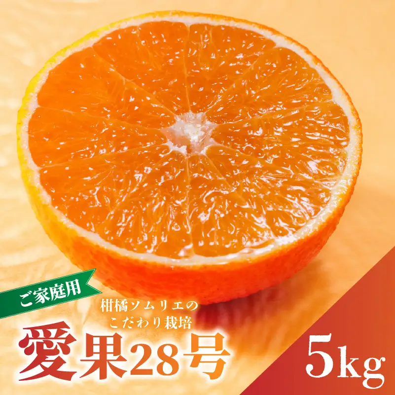 【紅まどんなと同品種】愛果28号 家庭用 5kg 【2026年11月下旬より順次発送】 | 訳あり 愛果 あいか 紅まどんな 紅マドンナ と 同品種 みかん まどんな ワケアリ 柑橘 みかん 果物 おすすめ 高級 人気 お取り寄せ グルメ ギフト 期間 ご当地 愛媛三大柑橘（ 紅まどんな せとか 甘平 ） 愛媛県 松山市 蓮果園 【RNK0032】