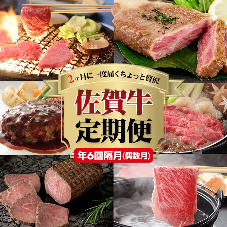 【定期便】佐賀牛 (年6回/偶数月お届け)  定期便 牛肉 Q108-001