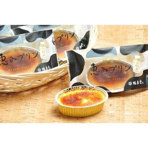 揖斐のめぐみプリン10個入り