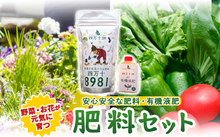 野菜が元気に育つ肥料セット ／Fis-A03 趣味 ガーデニング 家庭菜園 園芸 ベランダ菜園 プランター 種 種子 プロ仕様の肥料 培養土 畑 土造り 土壌改良 土づくり 土壌改良剤