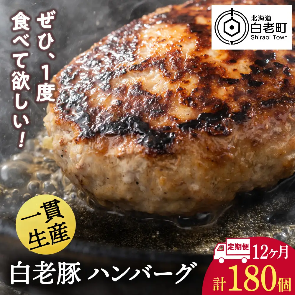 【定期便 12カ月】 北海道産 白老豚 ハンバーグ 120ｇ×15個 セット BV036