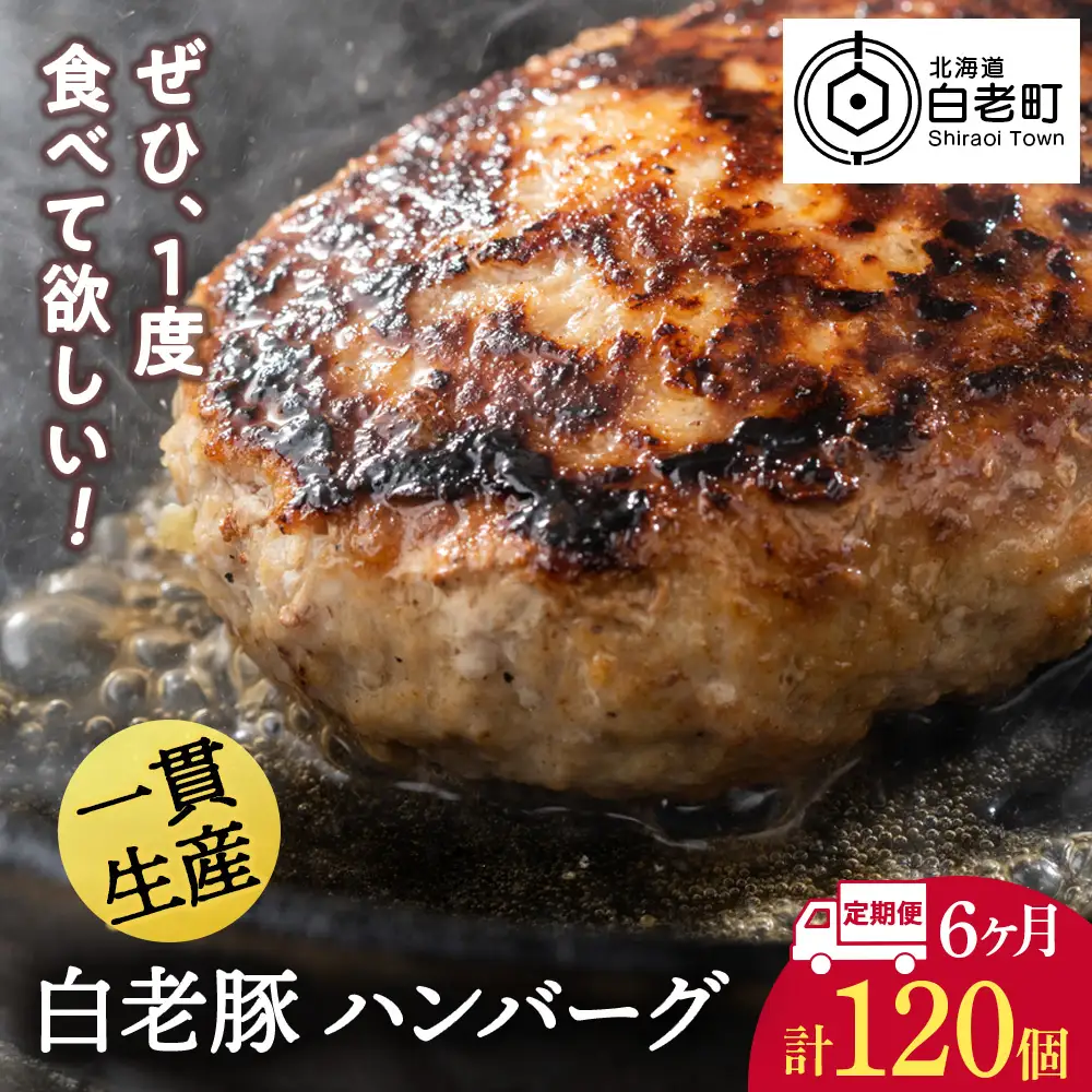 【定期便 6カ月】 北海道産 白老豚 ハンバーグ 120ｇ×20個 セット BV038