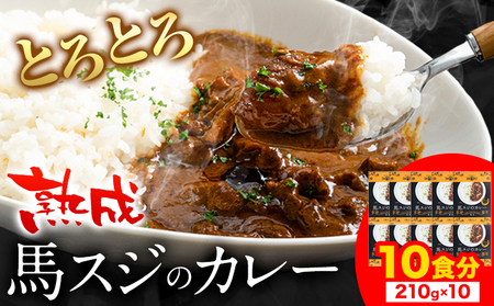 たっぷり！馬スジカレー 10食セット《60日以内に出荷予定(土日祝除く)》馬スジ カレー お肉 馬すじ カレーライス 馬肉 贈答 ギフト グルメ お取り寄せ 熊本県 南阿蘇村 送料無料 個包装 大人気 簡単調理 千興ファーム
