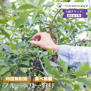 【時間無制限・食べ放題】ブルーベリー狩り入園チケットおとな１枚［ ブルーベリー狩り チケット 体験 入園チケット 時間無制限 食べ放題 おとな1枚 フルーツ狩り 観光 人気 おすすめ ギフト プレゼント 通販 送料無料 ふるさと納税 ］
