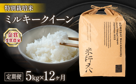 【12回定期便】 令和7年産 米 ミルキークイーン 5kg 定期便 精米 白米