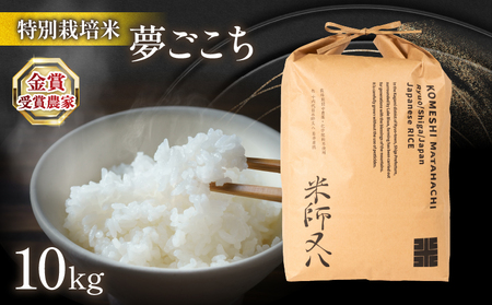 令和7年産 米 夢ごこち 10kg お米