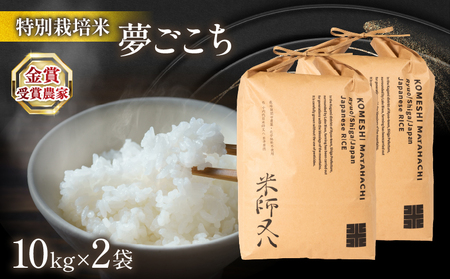 令和7年産 米 夢ごこち 20kg お米