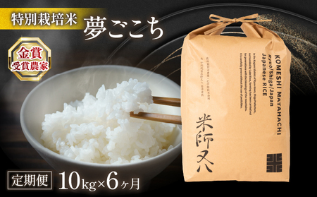 令和7年産 米 夢ごこち 10kg 定期便 6ヵ月 特別栽培米 お米 夢ごこち 6回 定期便 滋賀県 竜王町