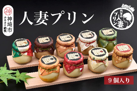 佐賀の人妻プリン 神埼市ふるさと納税限定詰合せ 9種味くらべ(H034110)
