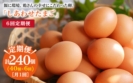【6回定期便】 平飼い しあわせ たまご 40個 ＜松本養鶏場＞ [CCD025]