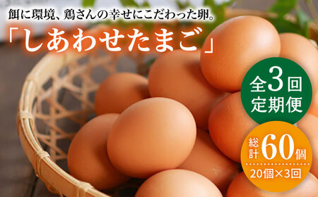【3回定期便】 平飼い しあわせ たまご  20個 ＜松本養鶏場＞ [CCD027]