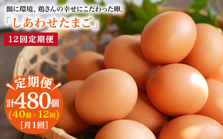 【12回定期便】 平飼い しあわせ たまご 40個＜松本養鶏場＞ [CCD030]
