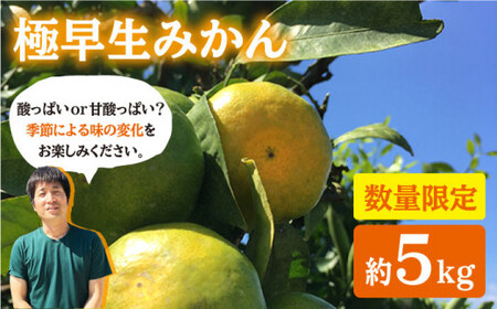  極早生 みかん 約5kg  [CCZ002] みかん