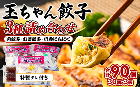 10-16　玉ちゃん餃子3種詰め合わせ
