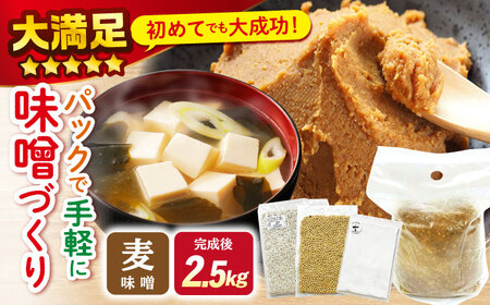 手作り味噌キット 麦味噌 川添酢造 CDN008 自由研究