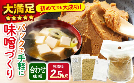 手作りキット 合わせ味噌 CDN010 味噌 自由研究 