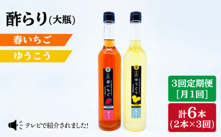 【3回定期便】酢らり 大瓶（いちご・ゆうこう）総計6本＜川添酢造＞ [CDN035] 果実酢