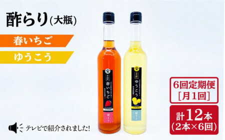 【6回定期便】酢らり 大瓶（いちご・ゆうこう）総計12本＜川添酢造＞ [CDN036] 果実酢