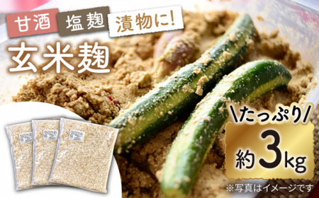 農薬不使用 玄米麹 約3kg [CDN062] 味噌 麹