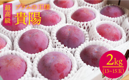 先行予約 プラム 貴陽 計2kg CEB002 スモモ