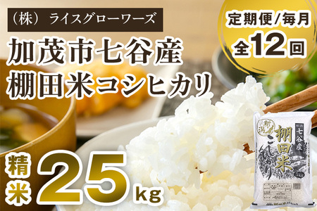 【令和7年産】【定期便12ヶ月毎月お届け】七谷産 棚田米コシヒカリ 精米25kg（5kg×5）《順次出荷》 白米 （株）ライスグローワーズ