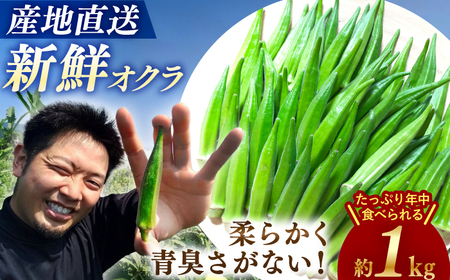 先行予約 オクラ 1kg ＜パッパラパー農園＞ [CFI001] 産地直送 オクラ 新鮮 野菜