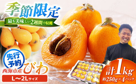 先行予約 びわ 1kg＜パッパラパー農園＞ [CFI002] びわ ビワ びわ