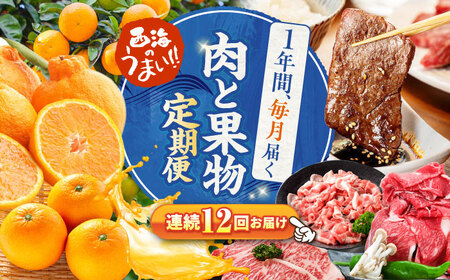 12回定期便 西海の宝物定期便 | CZZ019 定期便