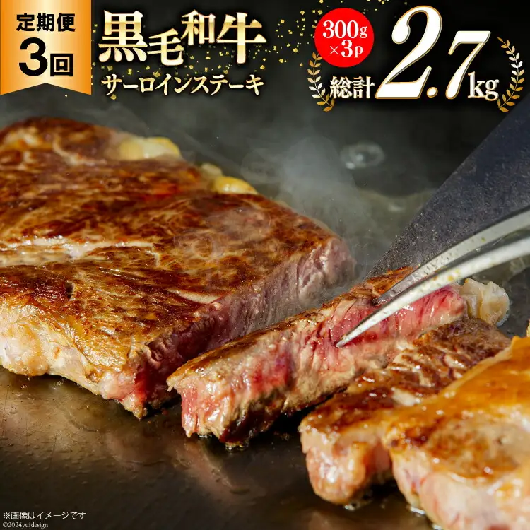 3回 定期便 宮崎県産 黒毛和牛 サーロイン ステーキ 300g ×3×3ヶ月 合計2.7kg [サンアグリフーズ 宮崎県 美郷町 31ba0032]