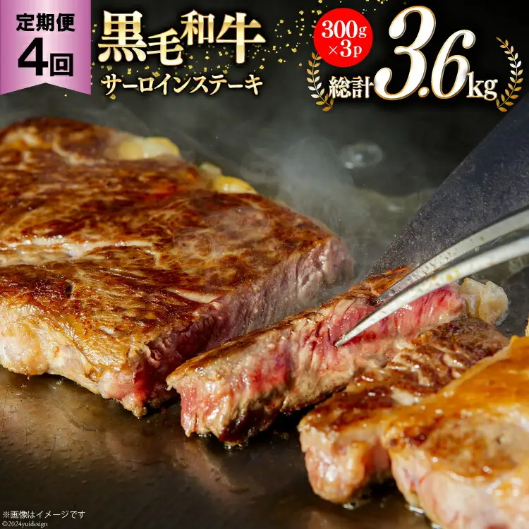 4回 定期便 宮崎県産 黒毛和牛 サーロイン ステーキ 300g ×3×4ヶ月 合計3.6kg [サンアグリフーズ 宮崎県 美郷町 31ba0033]
