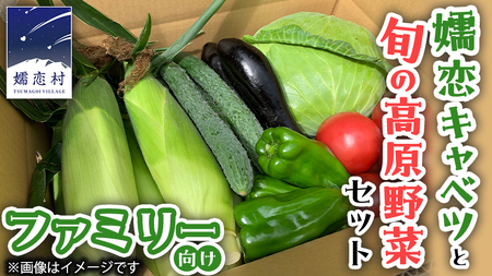 【 8月下旬発送開始 】 嬬恋 キャベツ と旬の 高原 野菜 セット 4人様 ファミリー向け [AK002tu]