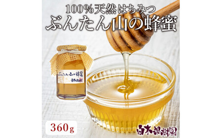 【先行予約】爽やかな香り広がる100%天然蜂蜜 ぶんたん山の蜂蜜　360g　〈2026年6月頃から順次発送〉  / はちみつ ハチミツ 高知県産 国産 天然はちみつ 土佐 高知 【白木果樹園】【白木果樹園】 [BQAI057]