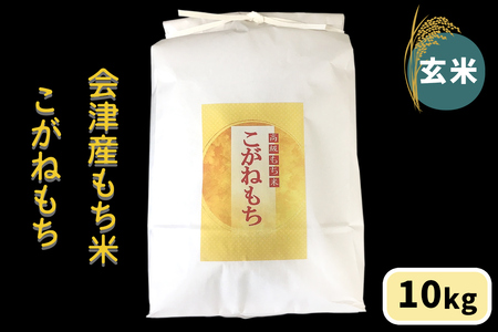 会津産もち米「こがねもち」【玄米】10kg｜令和7年産 2025年産 会津若松市 もちごめ 餅米 米 [1041]