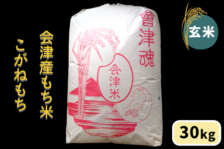 会津産もち米「こがねもち」【玄米】30kg｜令和7年産 2025年産 会津若松市 もちごめ 餅米 米 [1042]