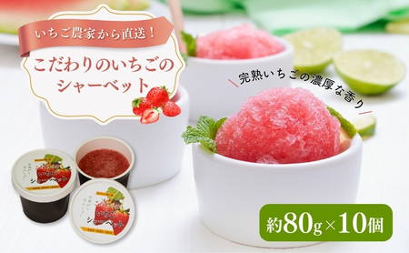 【いちご農家直送！】こだわりのいちごシャーベット（約80g×10） スイーツ 駒ヶ根市産いちご ストロベリー イチゴ 