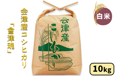 会津産 コシヒカリ「會津魂」【白米】10kg｜令和7年産 2025年産 こしひかり 会津若松市 お米 米 こめ 白米 コメ 精米 [1035]