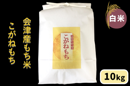 会津産もち米「こがねもち」【白米】10kg｜令和7年産 2025年産 会津若松市 もちごめ 餅米 米 [1039]