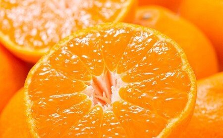 【予約受付】ブランド有田みかん　秀品5キロ サイズお任せ　※2026年10月中旬～2027年1月中旬頃に順次発送予定（お届け日指定不可）　紀伊国屋文左衛門本舗/みかん蜜柑柑橘有田みかん果物フルーツ  【kmtb140C】
