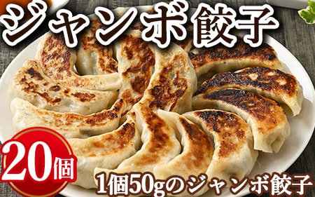 ジャンボ餃子　20個入り ※着日指定不可