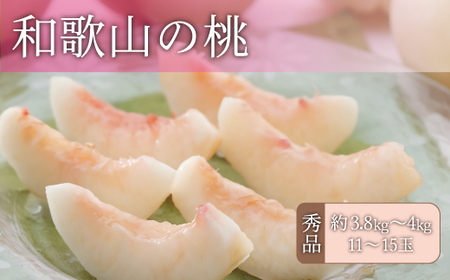  和歌山の桃 秀品 [約3.8~4kg] (サイズ・品種おまかせ) 紀伊国屋文左衛門本舗/もも 桃 フルーツ 果物 和歌山県 ※2026年6月中旬～2026年8月中旬頃に順次発送予定【kmtb800B】