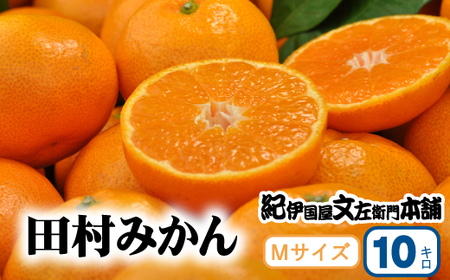 【予約受付】田村みかん 特選ギフト品 10kg【Mサイズ】赤秀 / 紀州和歌山有田郡湯浅町田村地区産 ◆2026年11月下旬～2027年1月中旬頃に順次発送予定(お届け日指定不可)　紀伊国屋文左衛門本舗 / 田村みかん みかん 蜜柑 柑橘 果物 フルーツ 【kmtb303C】