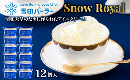 【バラ売り可能】氷雪型　まとめ売り Secoma 北海道アイスクリーム バニラ6個・メロン6個 詰め合わせ12個