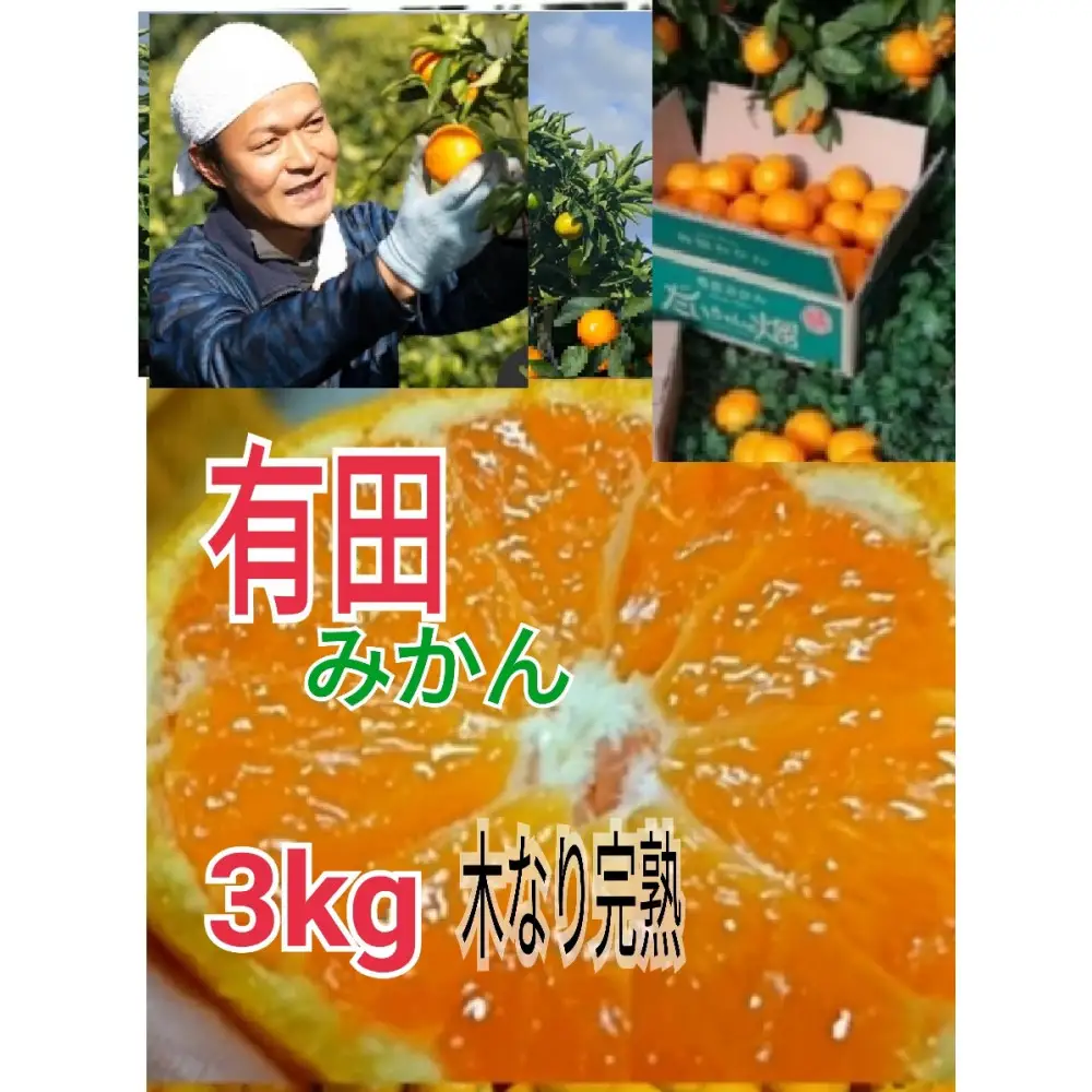 ［先行予約］有田みかん  秀品 3kg（箱込み）+痛み保障増量　木成り完熟［贈答用］大ちゃんの畑農園